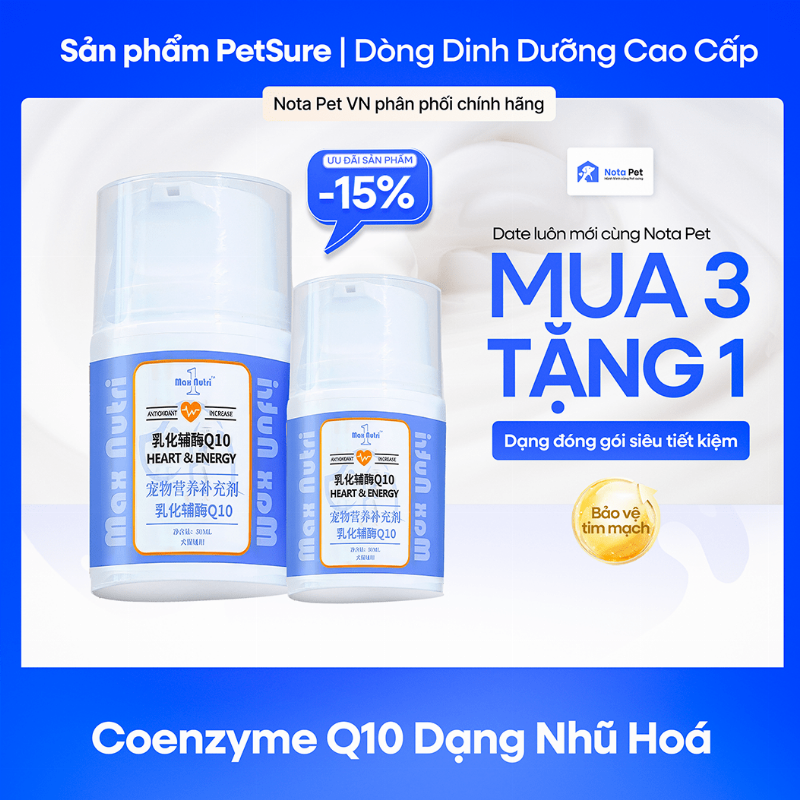 Một bác sĩ thú y đang nhẹ nhàng thăm khám sức khỏe cho một chú chó trong phòng khám, nhấn mạnh tầm quan trọng của chăm sóc y tế chuyên nghiệp cho thú cưng